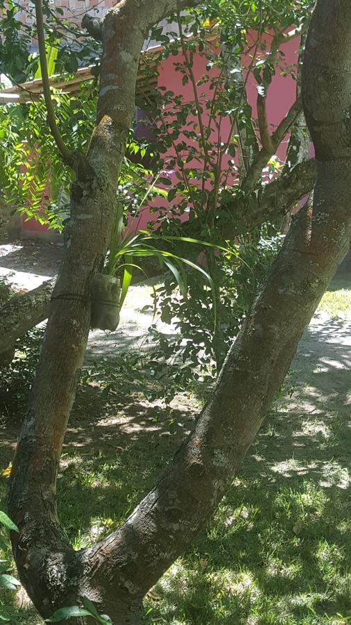 Pousada Grafite Τρανκόσο Εξωτερικό φωτογραφία